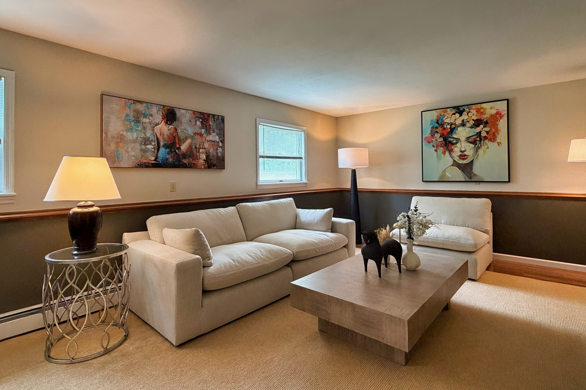 Lower level living room