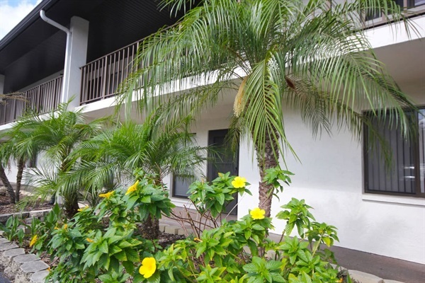 First Floor Unit