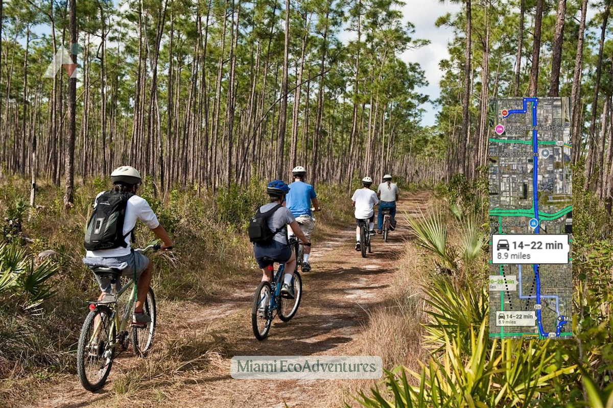 Miami EcoAdventures offers a variety of naturalist-guided excursions for nature lovers & enthusiast alike.