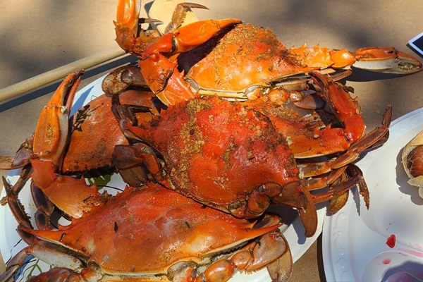 Crab pots provided to catch crabs