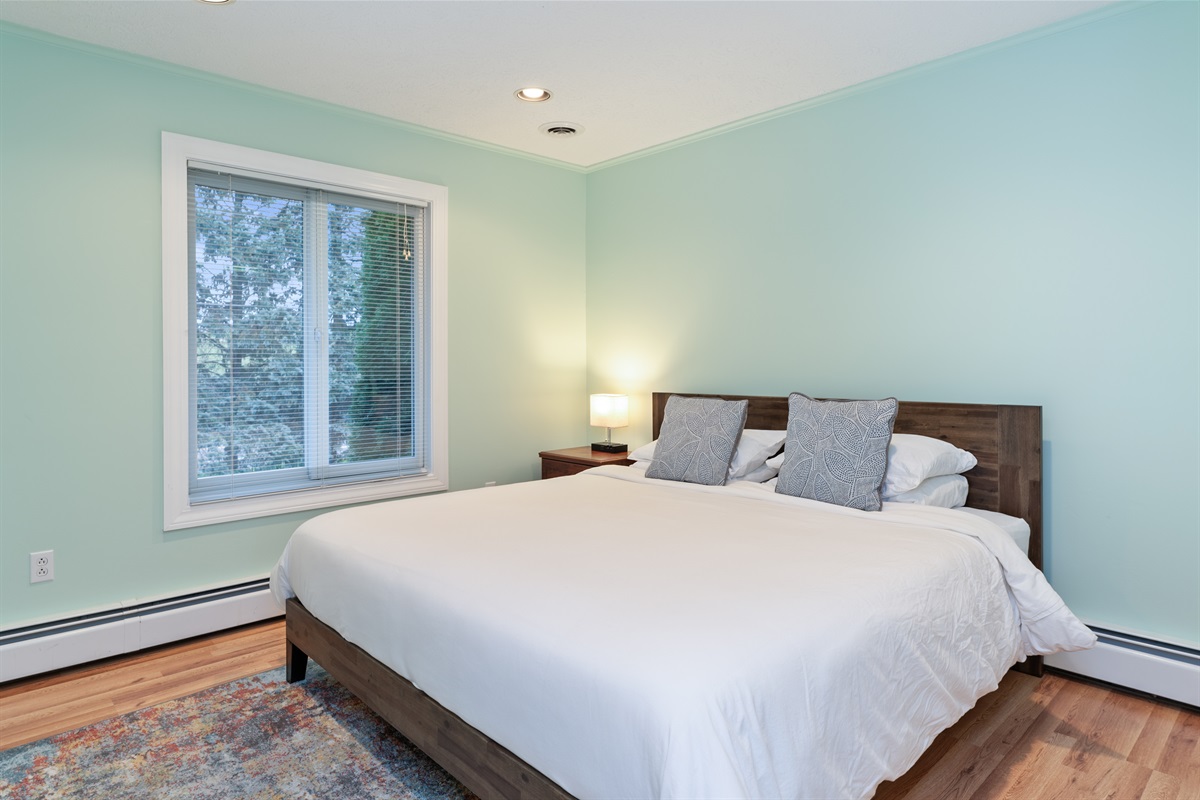 Main floor king bedroom
