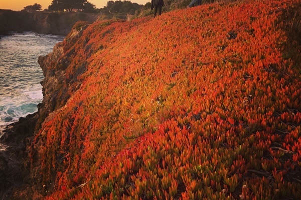 Coastal Hikes