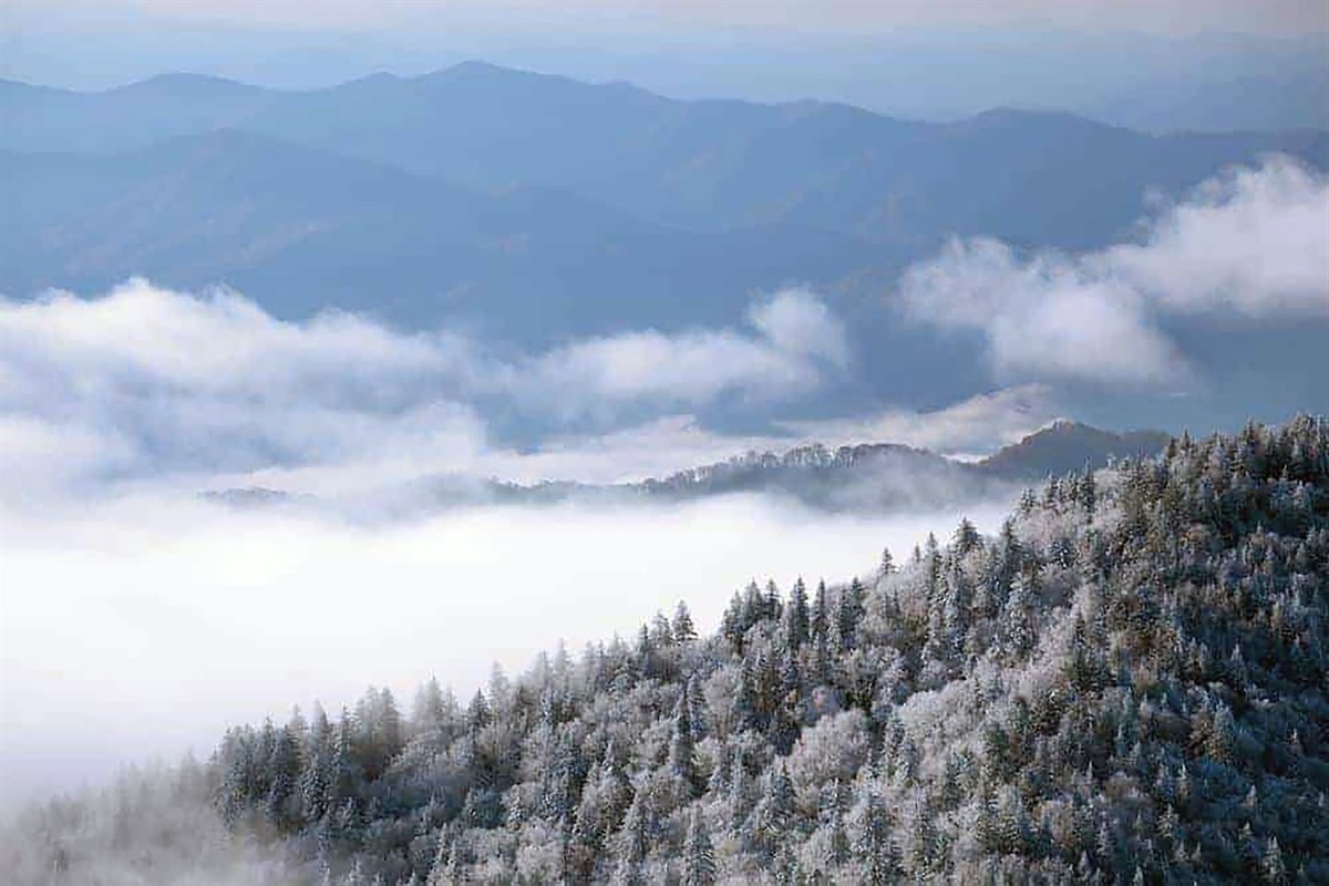 Winter in the Smoky's