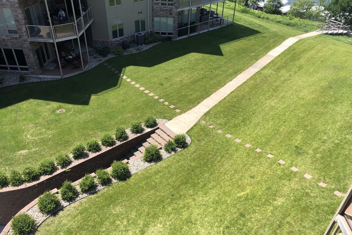 Aerial view of green space