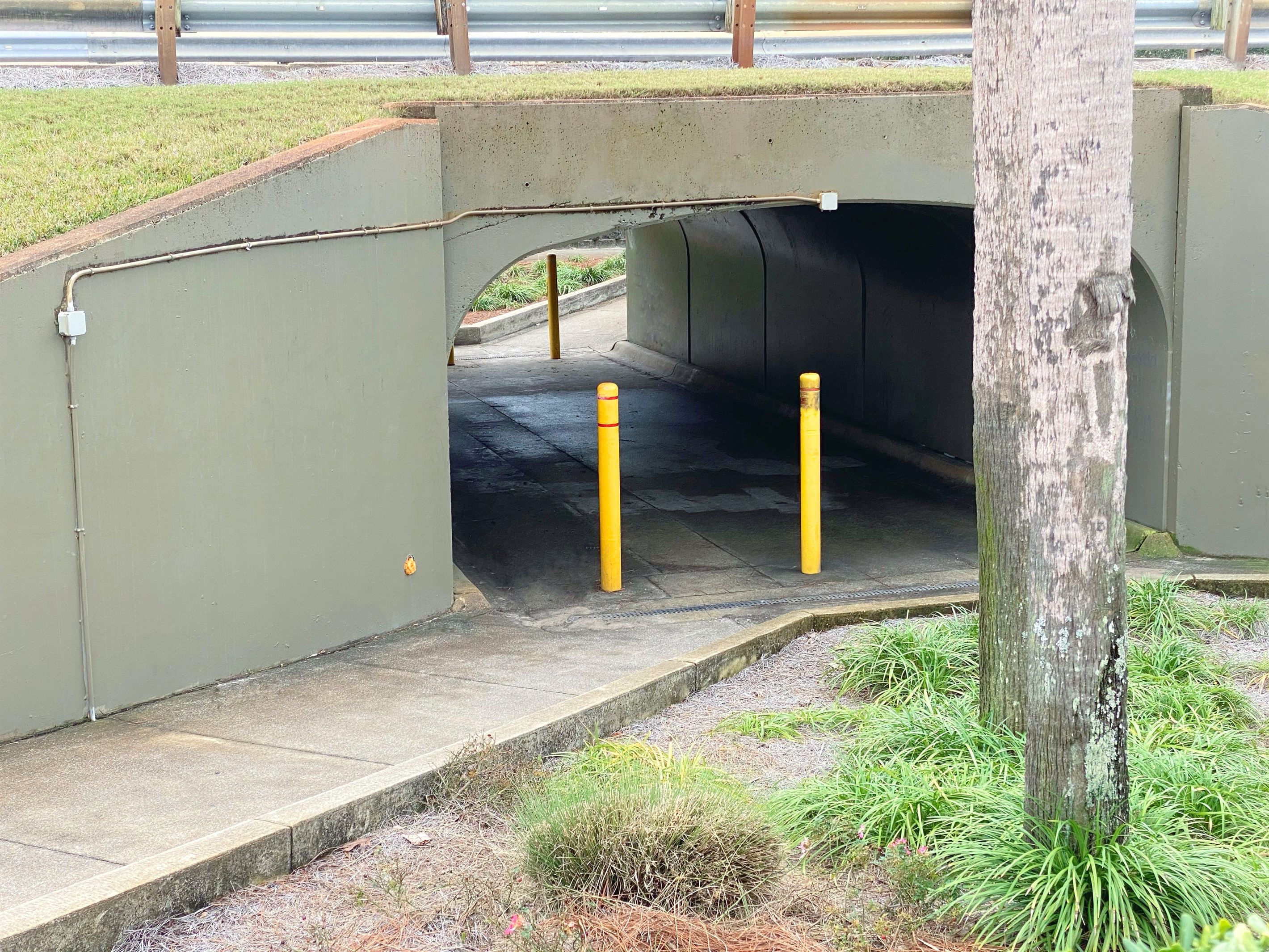 No need to cross the road — we have a pedestrian tunnel that goes under it. Great for pulling the beach cart while walking kids to the beach.