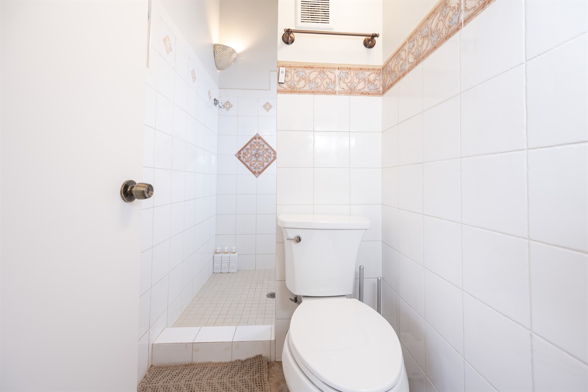 Main Floor Guest Bathroom with walk in shower, great for those with mobility issues.