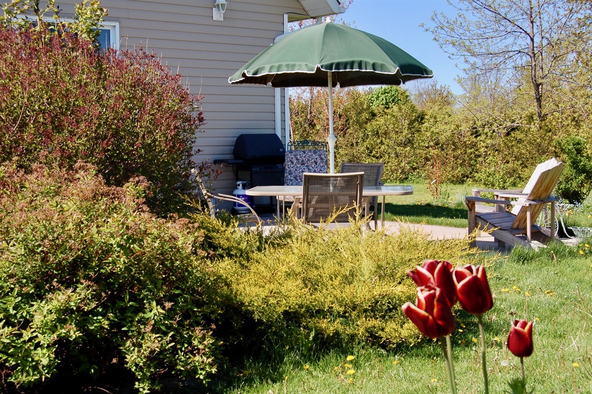 1d353505f89e429cba6dcec95b056e35 Large