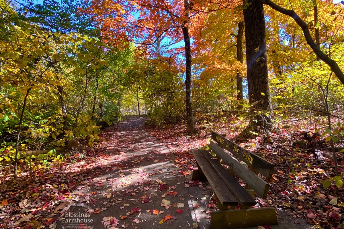 Nearby: Brown County State Park (Friends trail - stroller/wheelchair friendly)