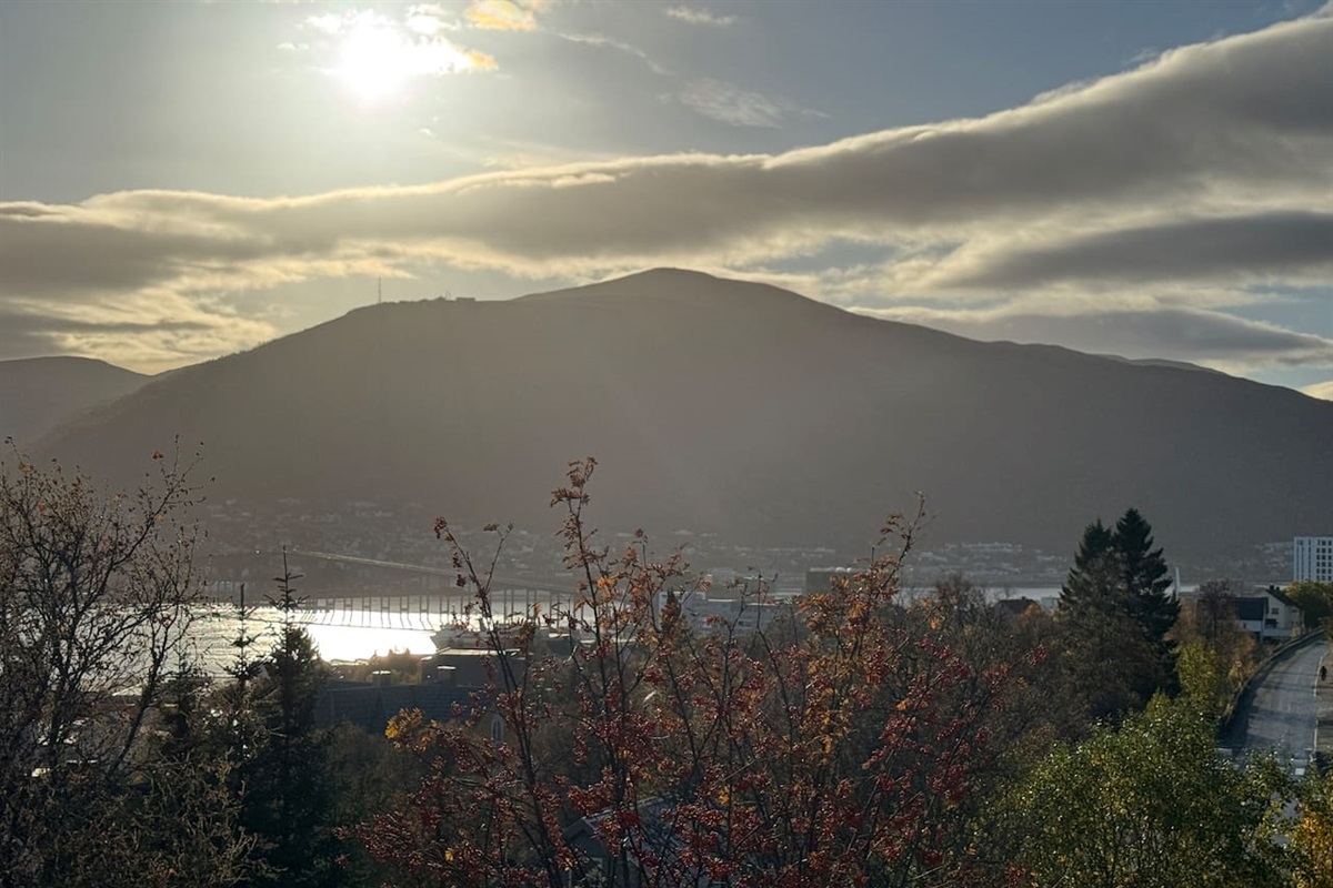 View to ishavskatedralen and tromsø bridge