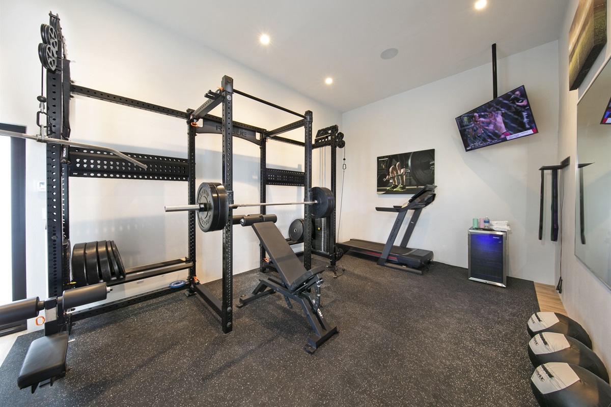 Gym has a mini fridge, free weights/balls/bands and a cable machine