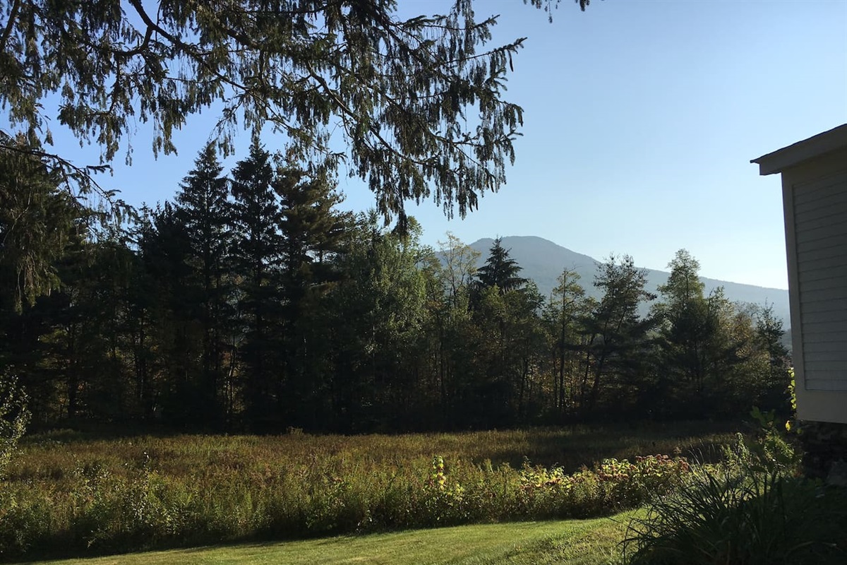 Mountain View from the House