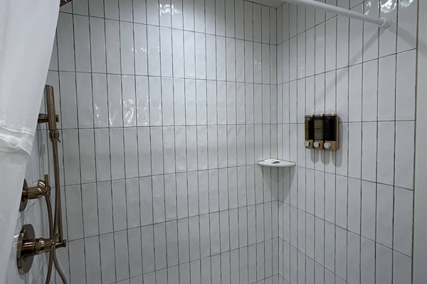 Downstairs bathroom shower