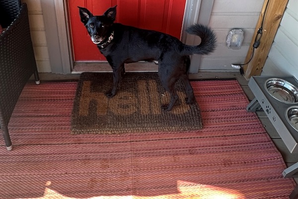 Anybody home for Treatos? at Shepherds Run