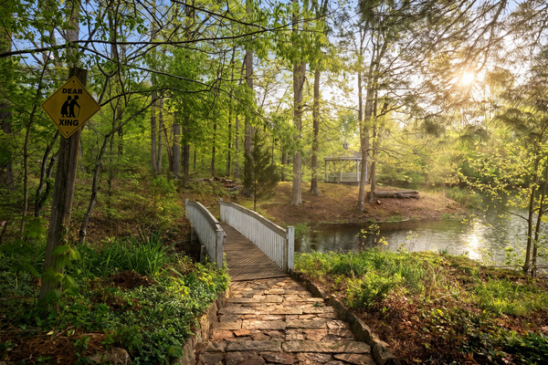 Bridge leading to secluded gazebo