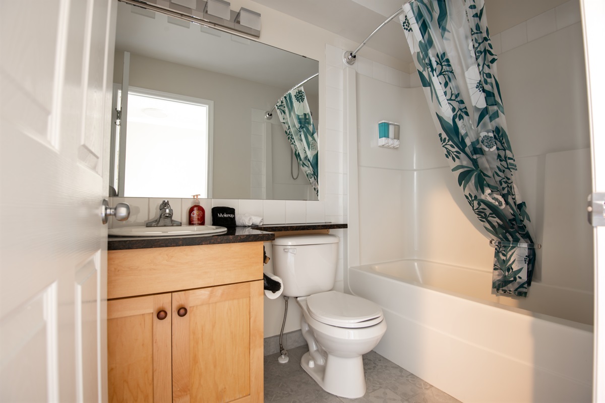 Full bathroom in the hallway.  Towels, shampoo/conditioner and soap provided. Hair dryer.