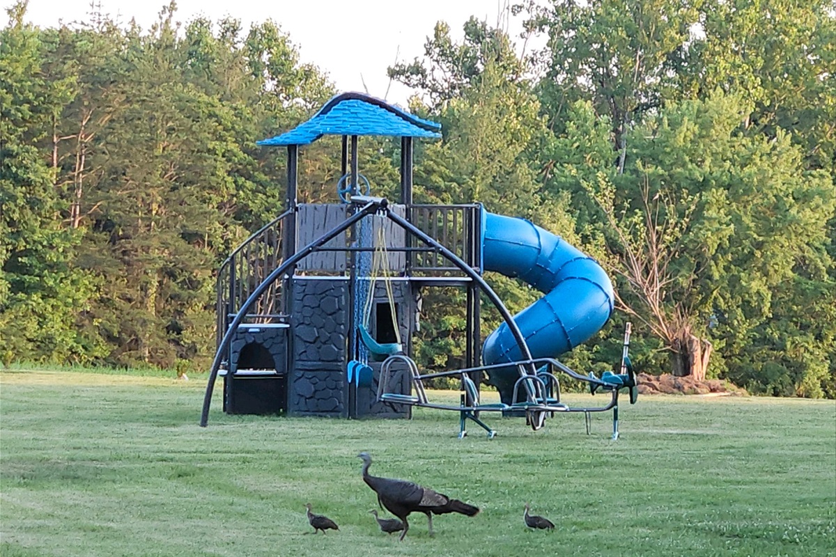 Backyard playground - perfect for kids of all ages!  (And check out the turkeys that like to visit the property.)