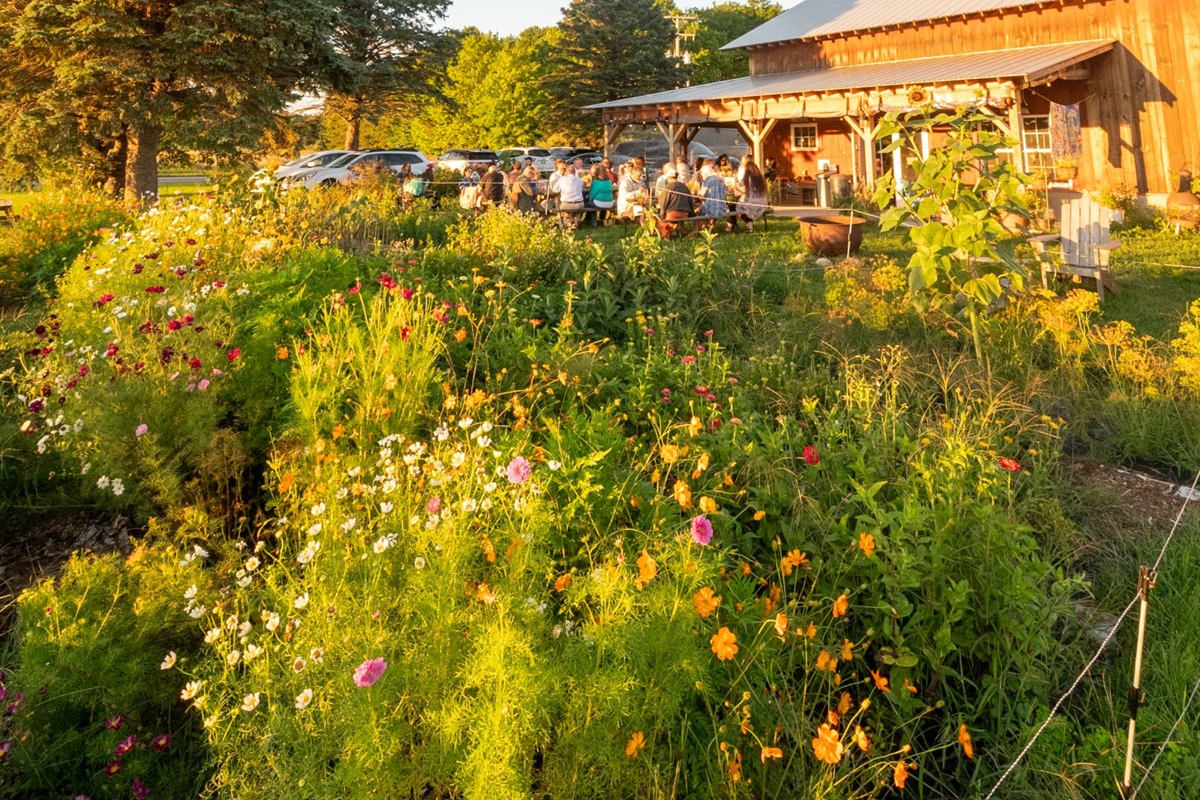 Providence Farm is an amazing place to go visit some animals, grab some fresh produce from the stand, and enjoy tamales handmade with love.