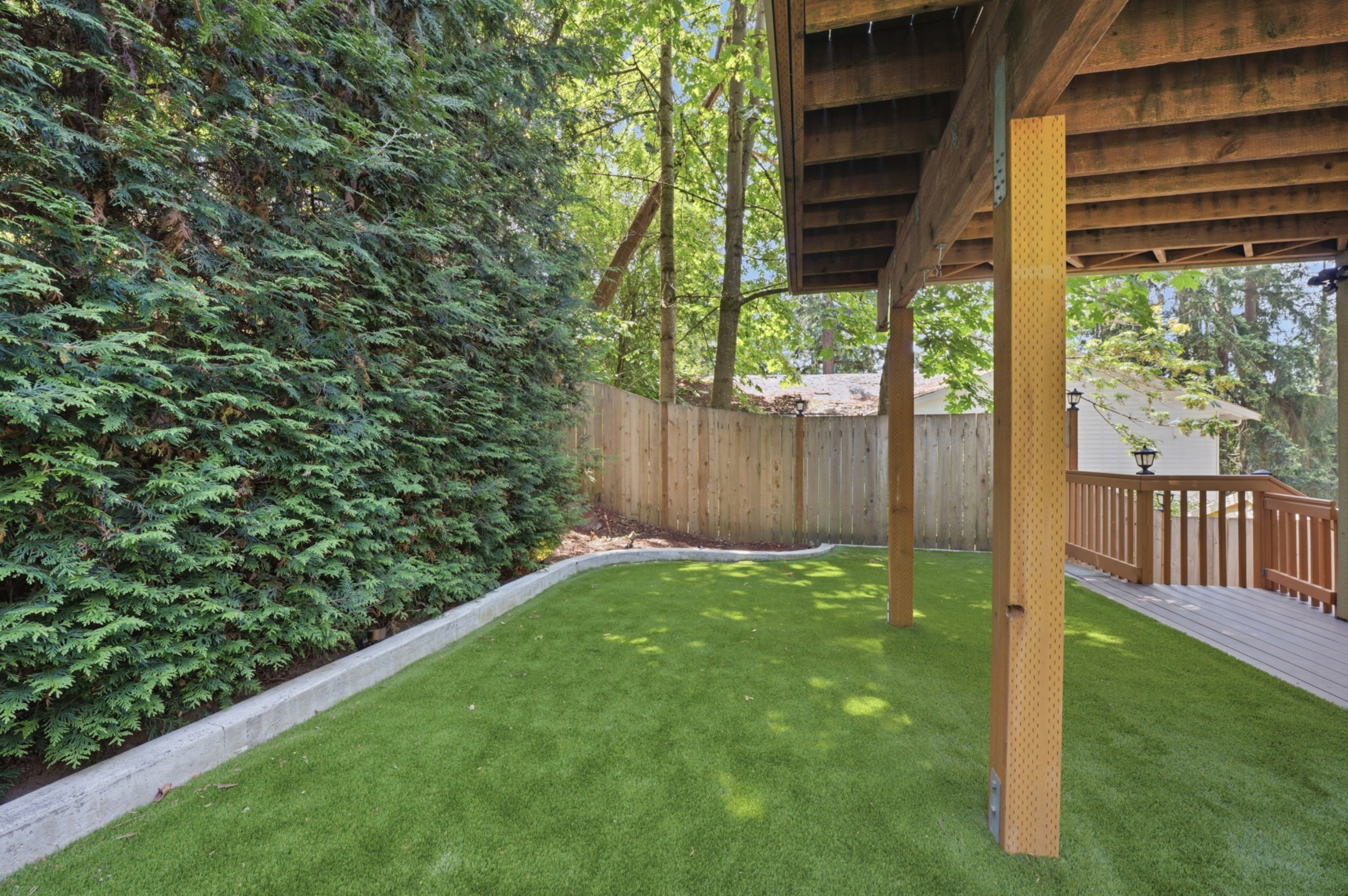 Backyard