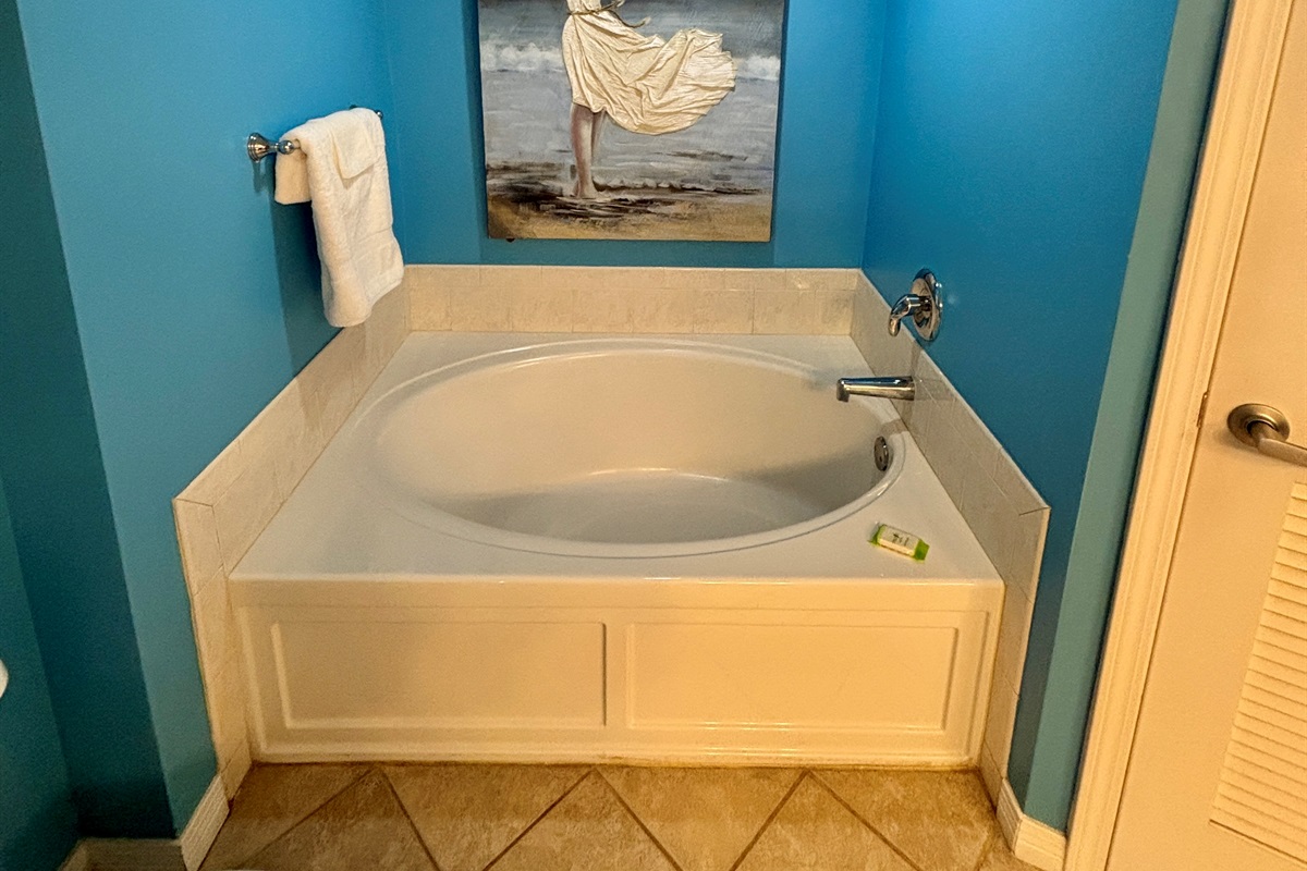 Master bathroom tub