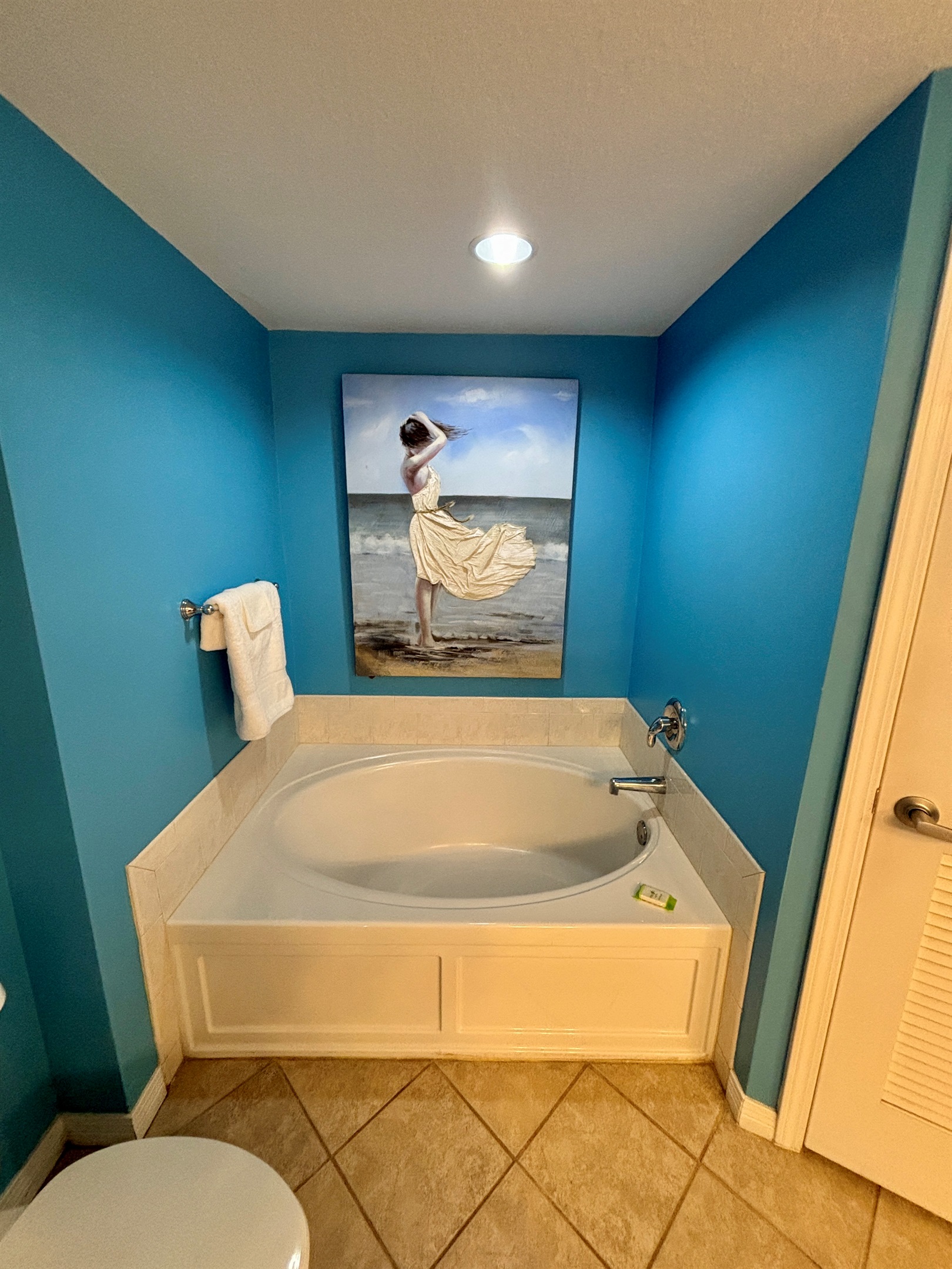 Master bathroom tub