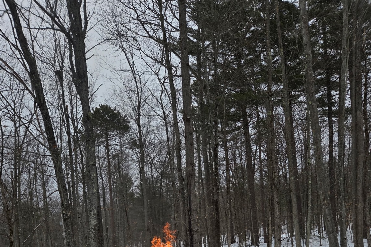 Enjoy some s'mores with our outdoor fire pit surrounded by Adirondack chairs