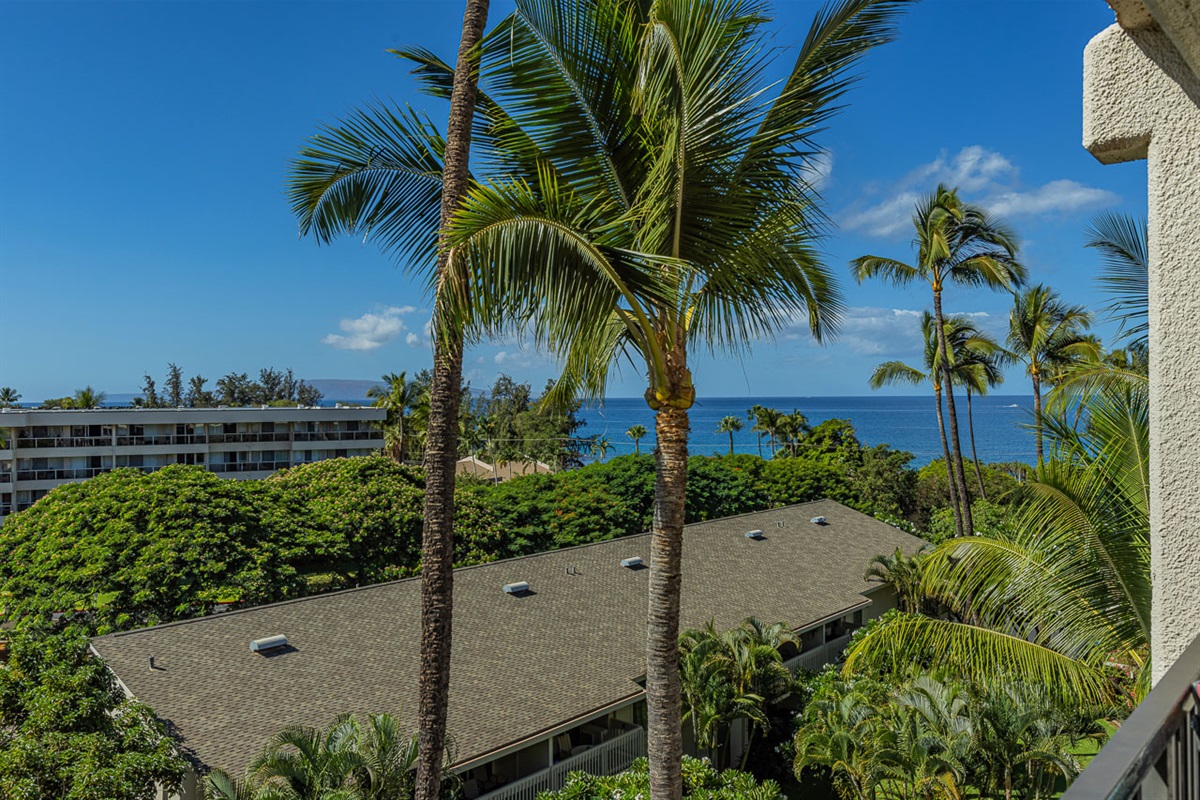 View From Your Lanai