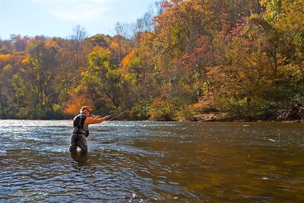 Less than 3 miles from the best fly fishing on the East Coast at the Elk River.