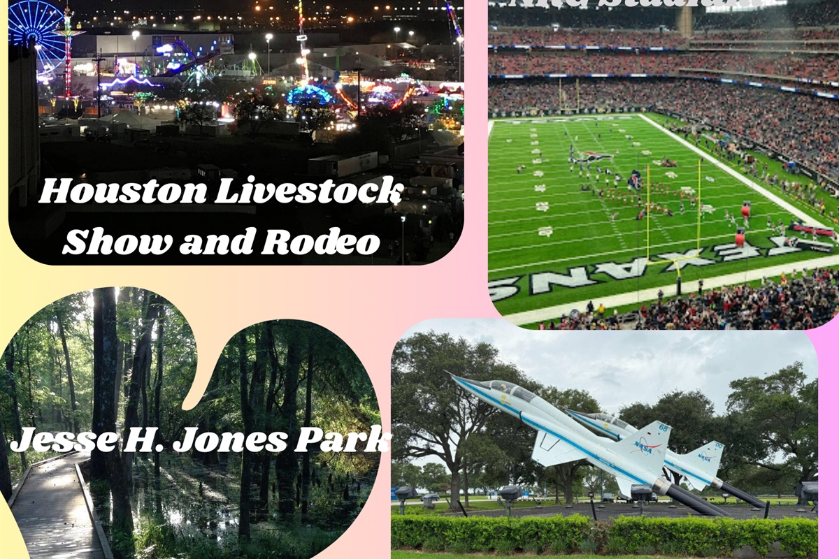 Top attractions in the area