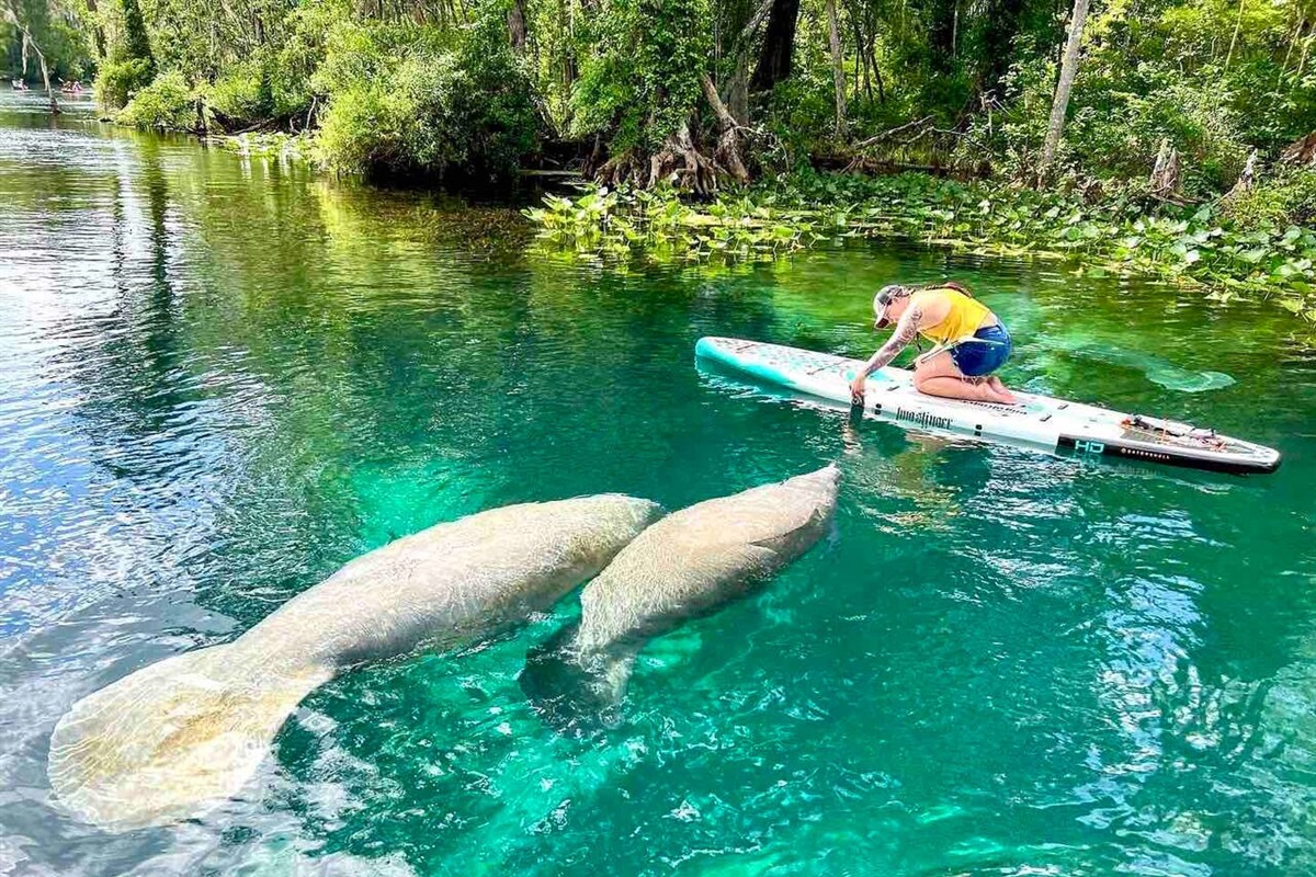 Black Bear Oasis Camper in the Ocala National Forest Coastal Living