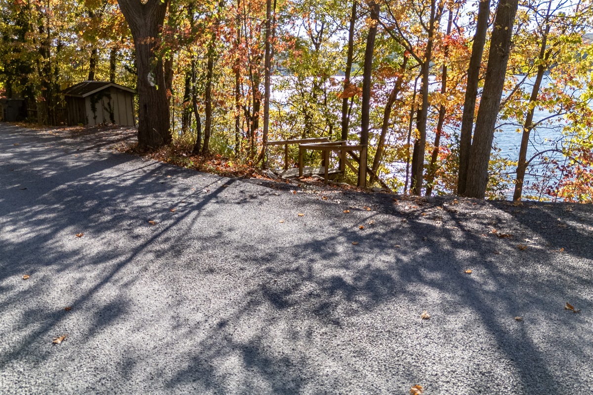 Trail/path down through woods toward dock area — adventure begins.