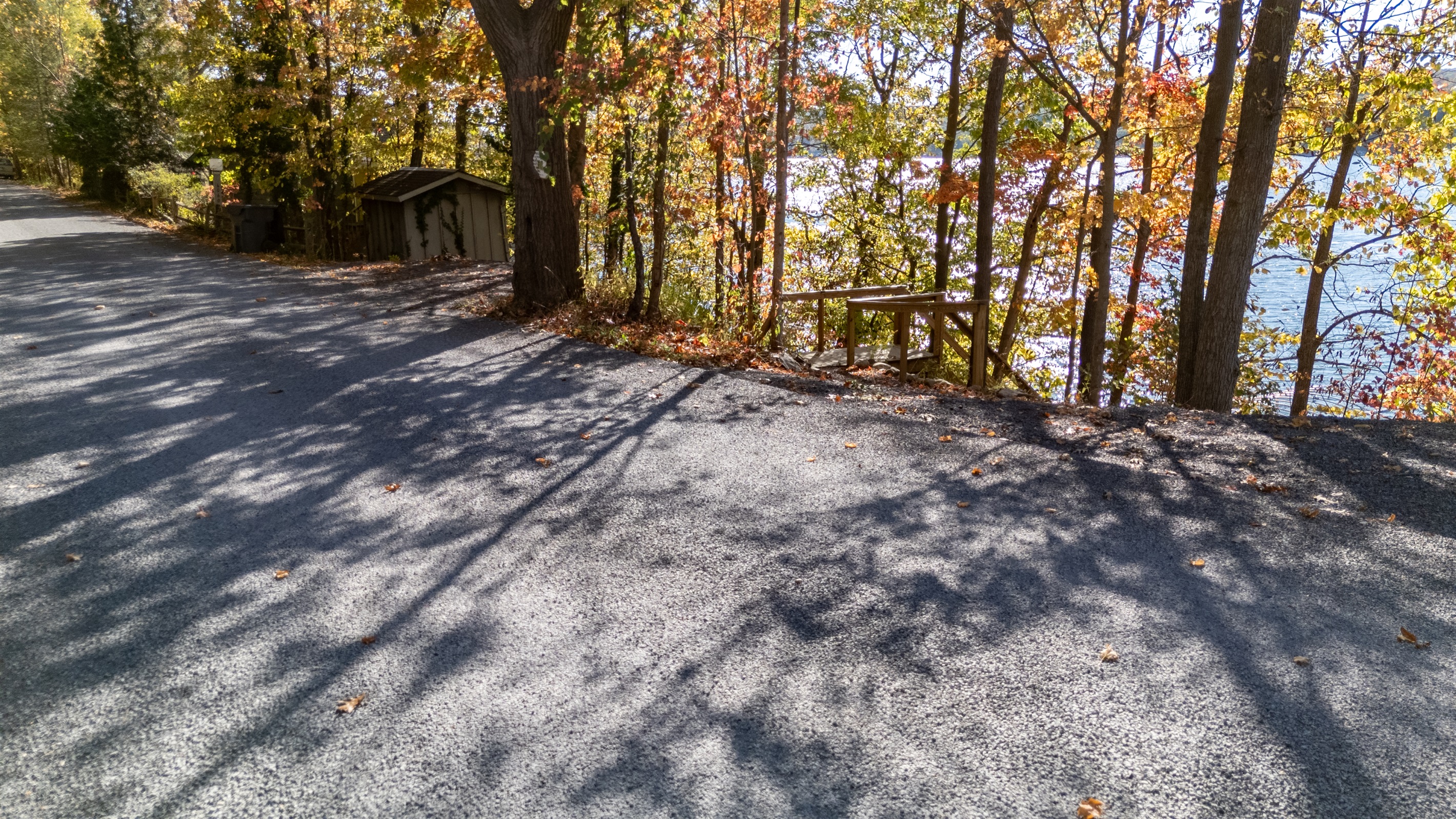 Trail/path down through woods toward dock area — adventure begins.