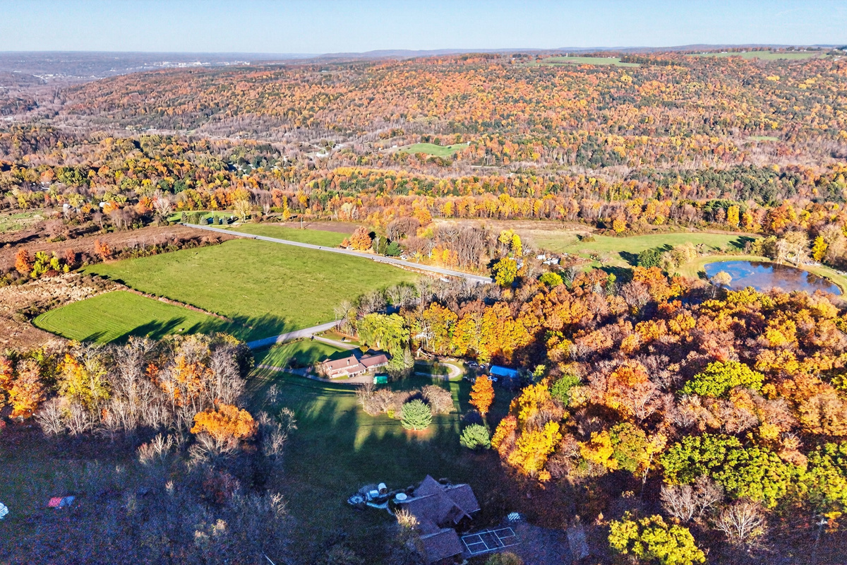 Panoramic landscape with fields and autumn foliage