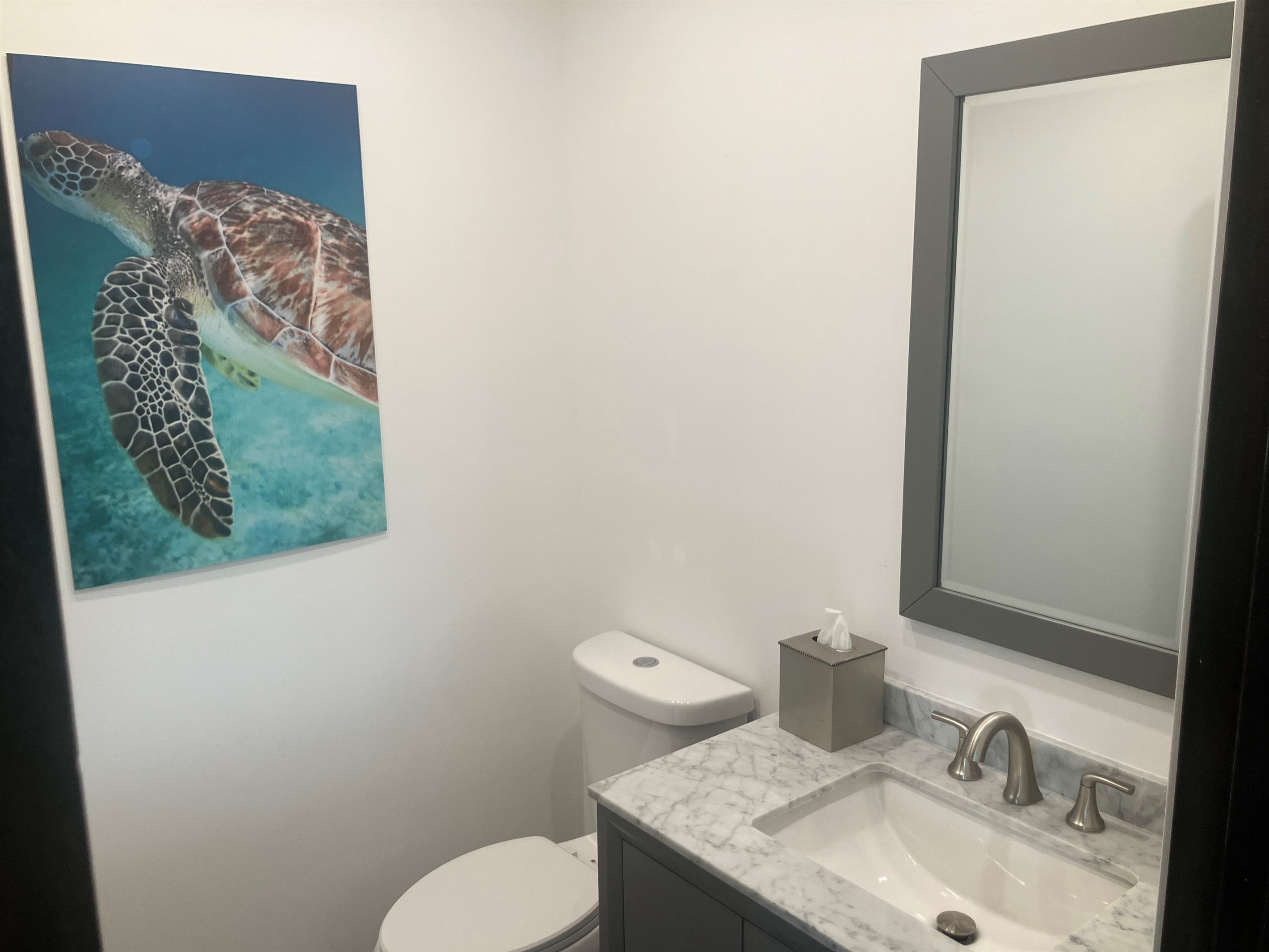Guest bathroom