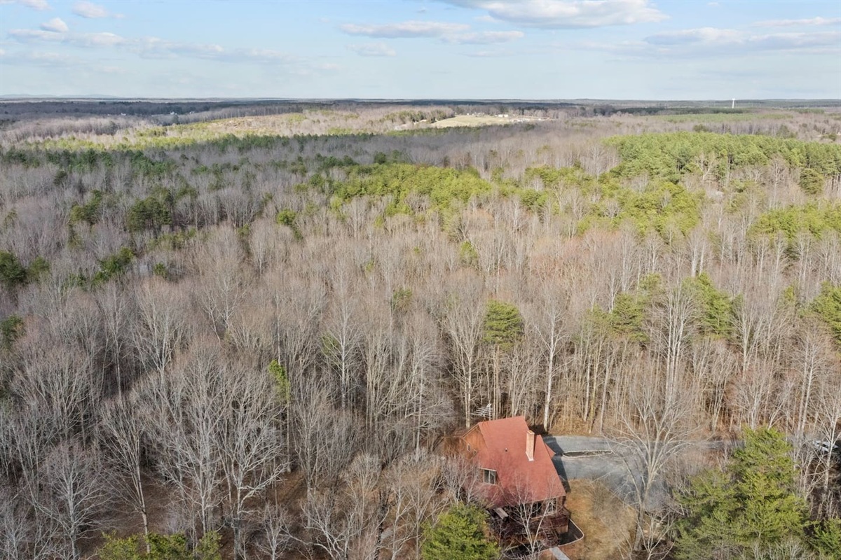 Scenic Retreat: Embrace stunning forest views from your charming cabin in the heart of nature!
