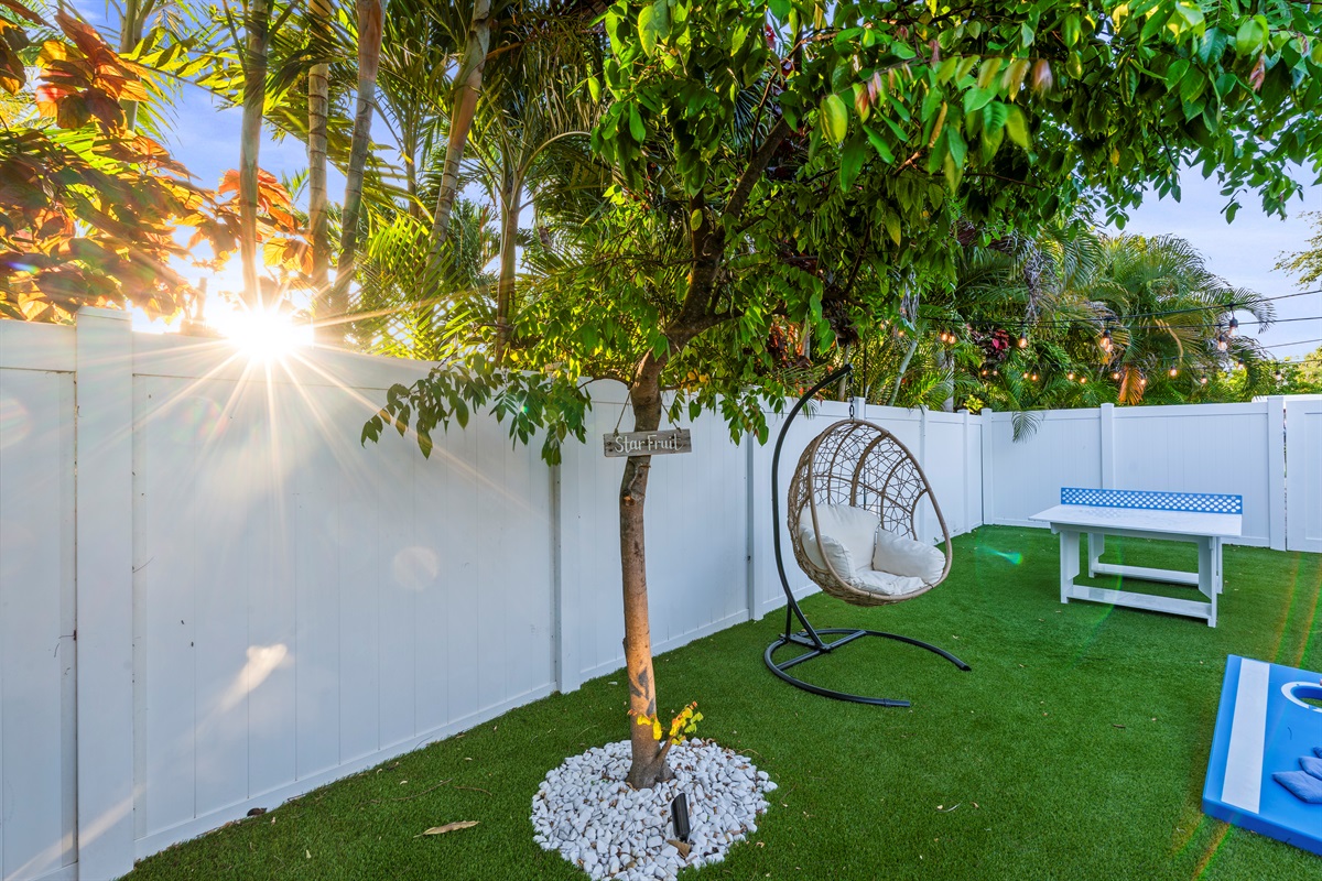 The backyard captures beautiful dappled sunlight through the palms, creating a peaceful atmosphere for morning yoga or afternoon drinks.