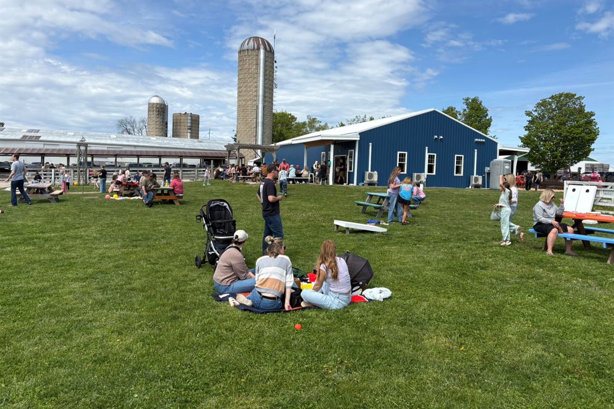 Shook's Farm and Cellar 1914 are a great place to visit with the family, play some games and get some fresh air.