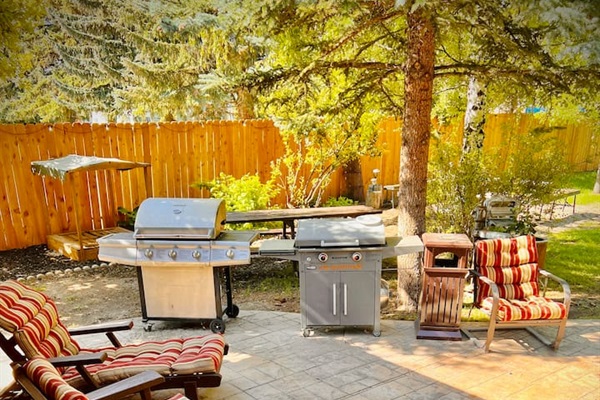 Outdoor cooking is a favorite with grills and patio furniture to use as well as picnic tables to sit at.