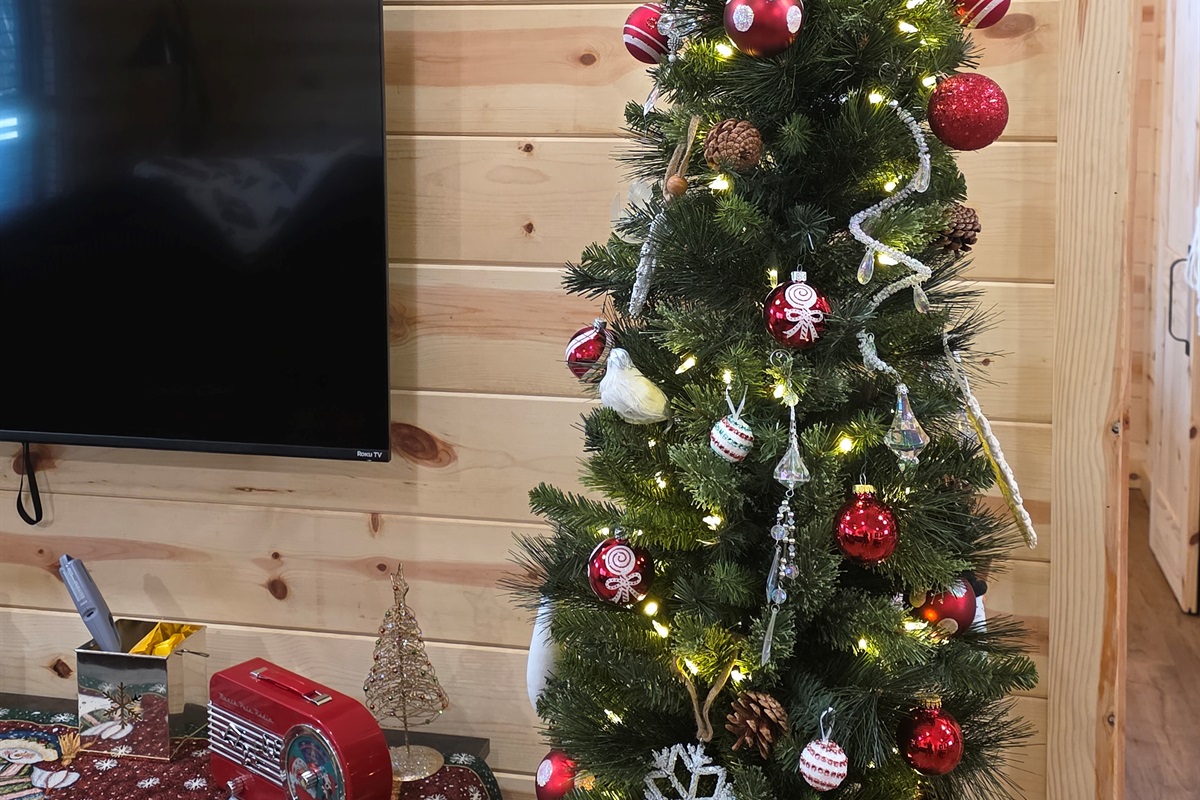 Christmas Tree and decor will be up early to mid November