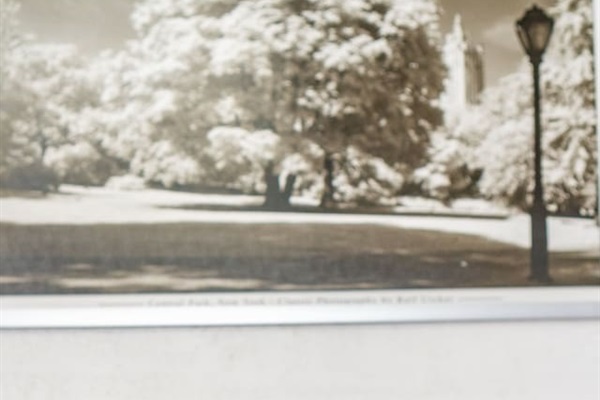 let this Succulent gives you a good vibe during your stay