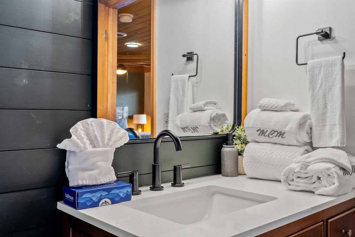 Lower level bath/shower combo with tasteful redesign and blue-tooth speakers