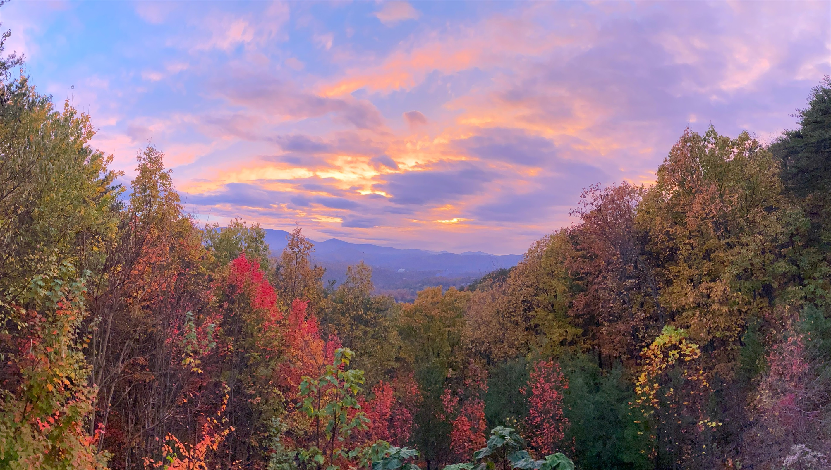 Sunset on the Back Deck