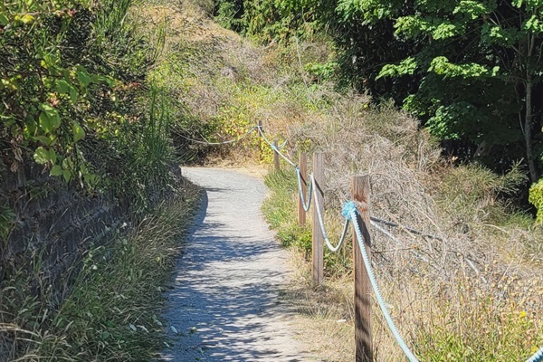 Resort pathway to Beach.