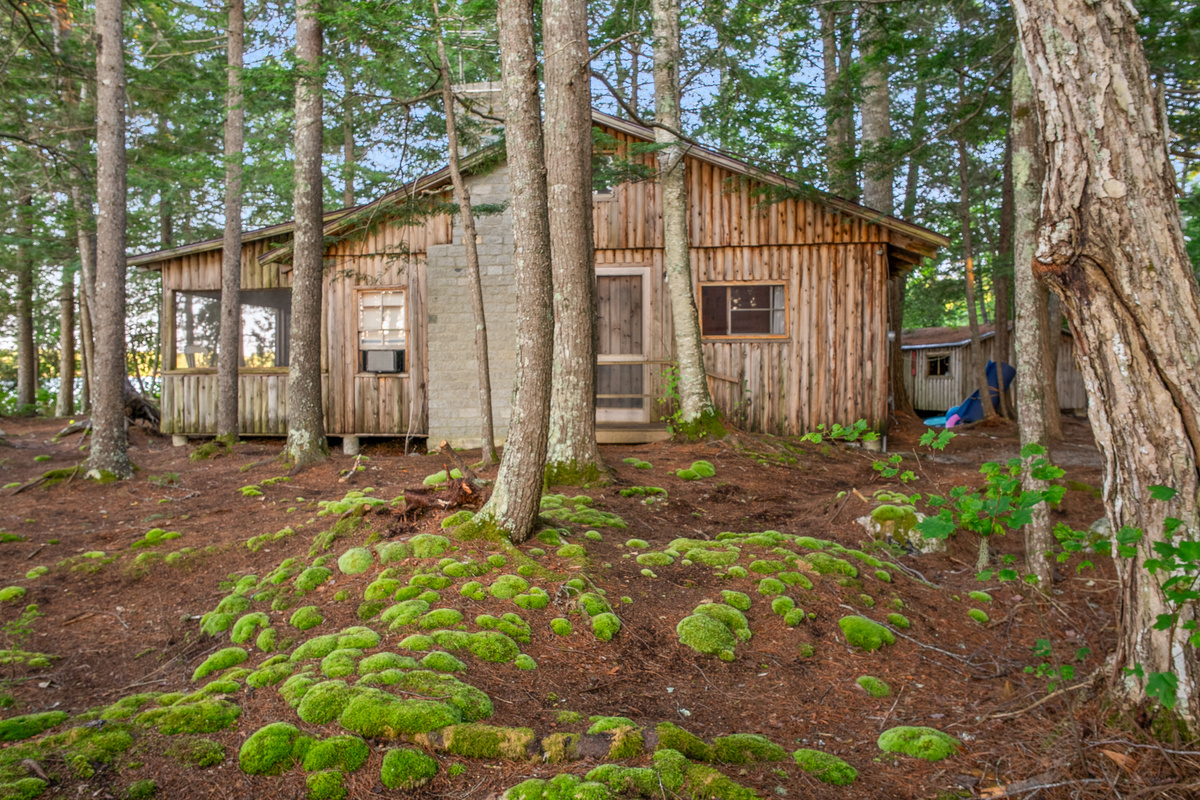 View from the west side of Loonrise Point on Beech Hill Pond! Vibrant natural moss, pine needles, and towering trees enclose this private peninsula setting in Otis, ME. Honest Maine woods surrounding your historic camp retreat, 40 mins from Acadia.