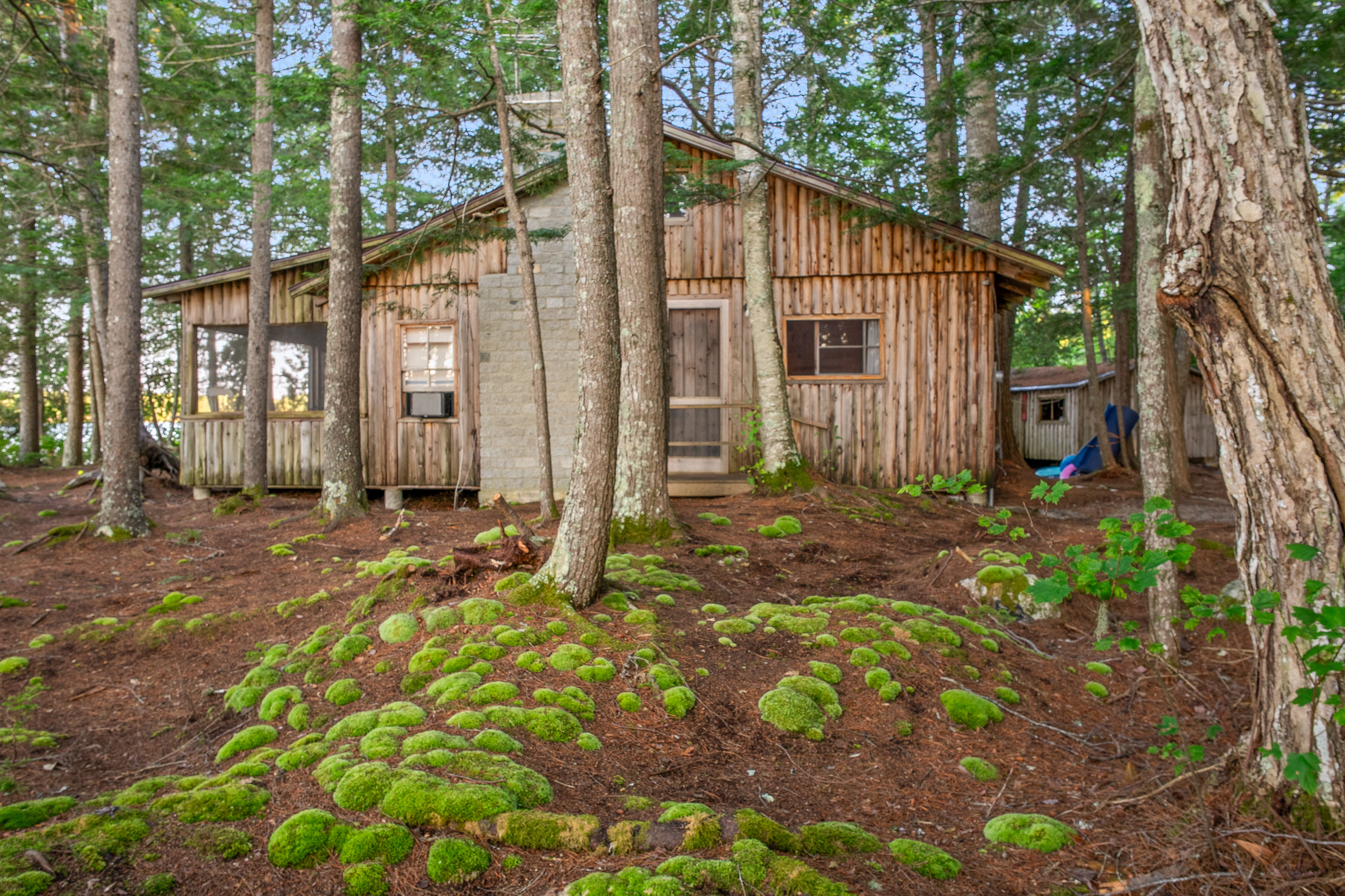 View from the west side of Loonrise Point on Beech Hill Pond! Vibrant natural moss, pine needles, and towering trees enclose this private peninsula setting in Otis, ME. Honest Maine woods surrounding your historic camp retreat, 40 mins from Acadia.
