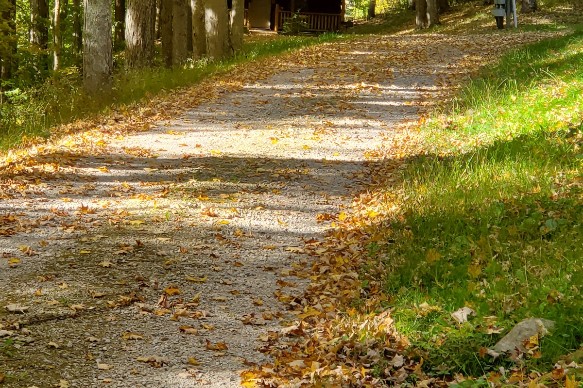 Enjoy the color in the autumn!