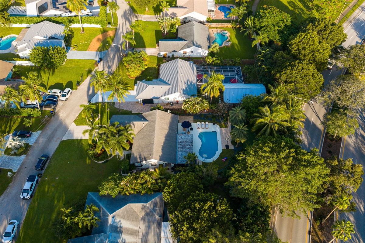 As the sun sets, soft lighting transforms the backyard into a serene, tropical retreat.