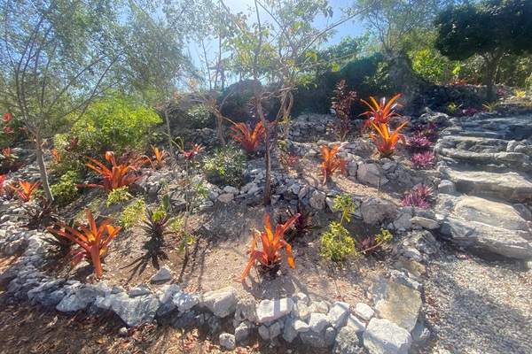 Terraced garden