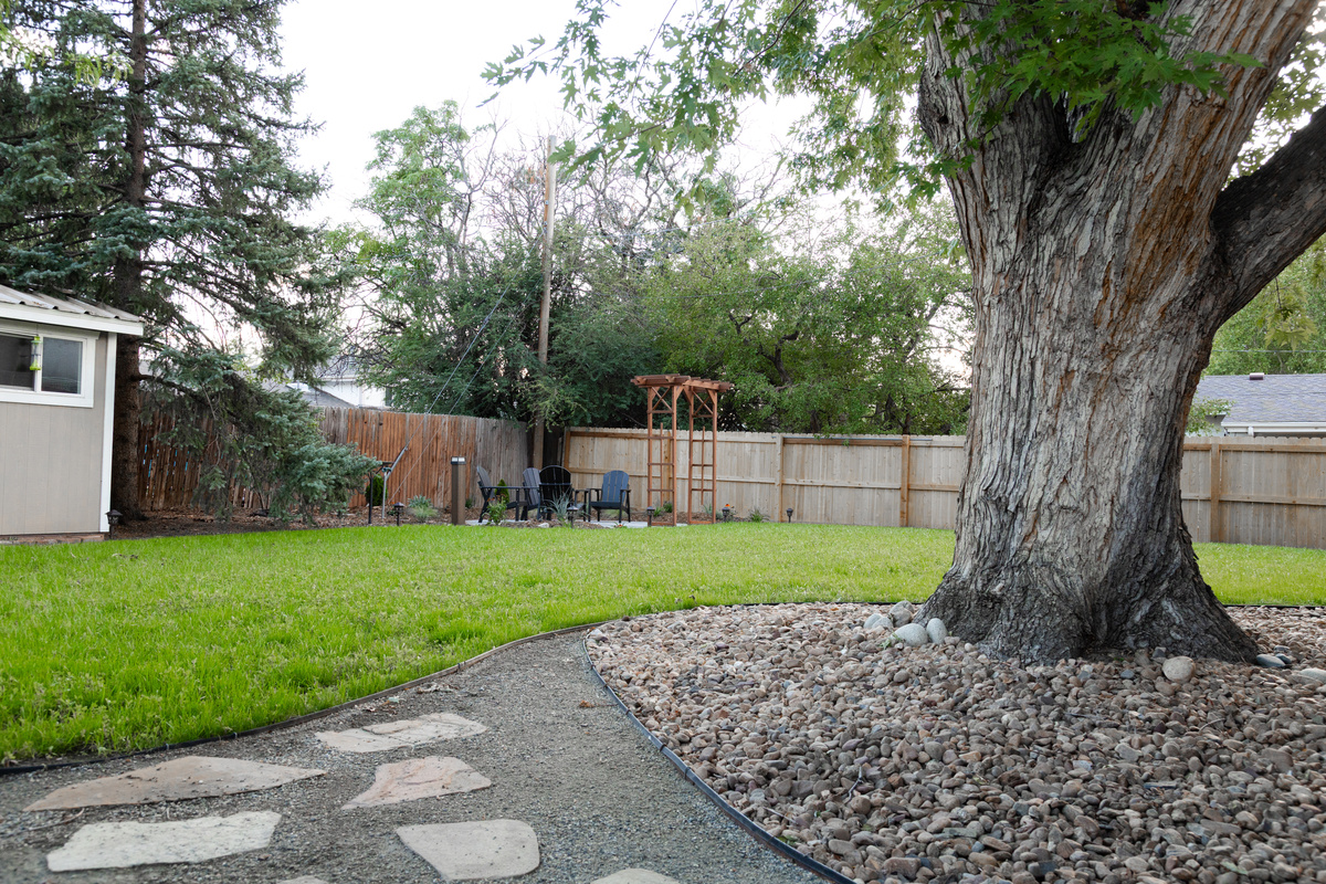 Backyard