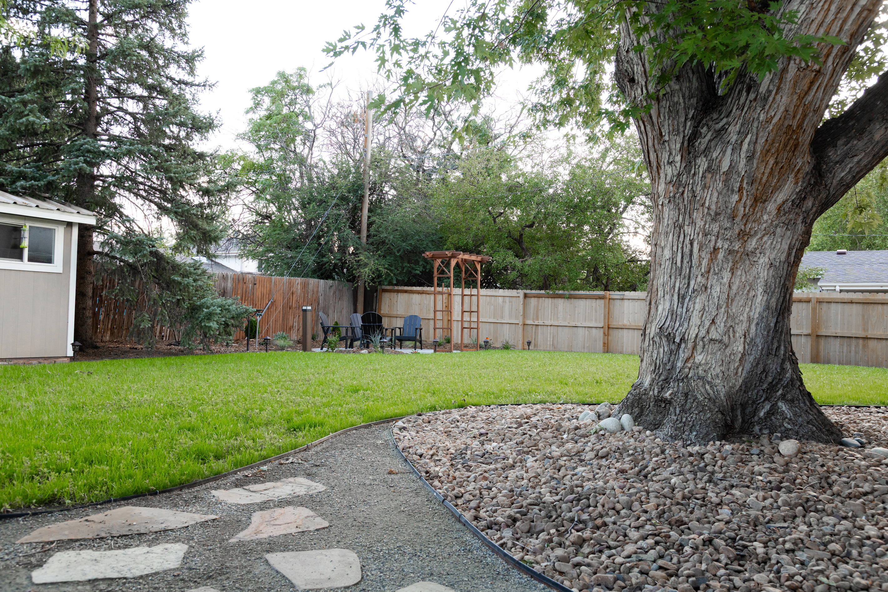 Backyard