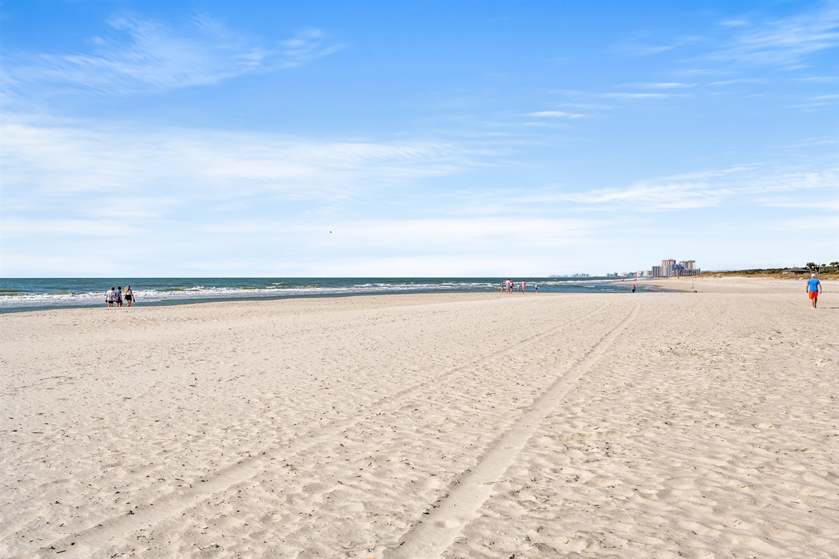 It's a beautiful day at the beach!